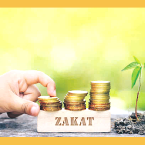 Zakat al-Maal